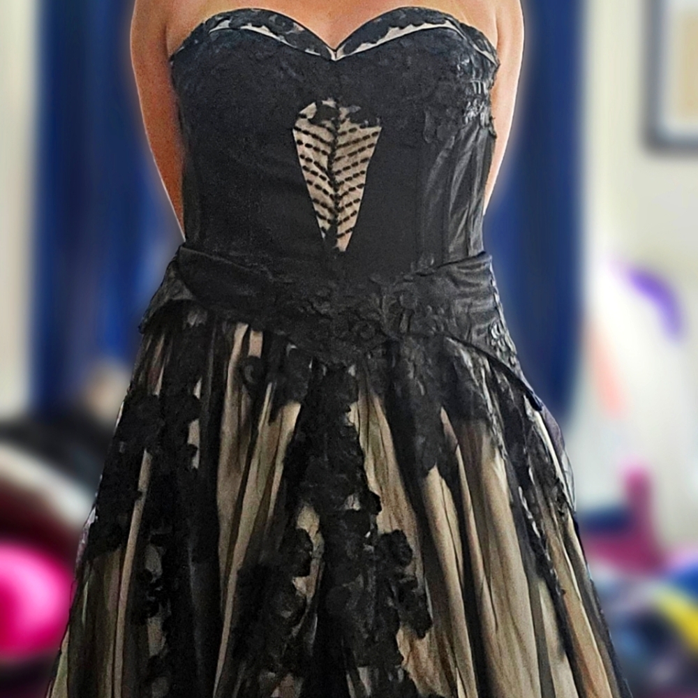 Gothic Black-on-champagne gown